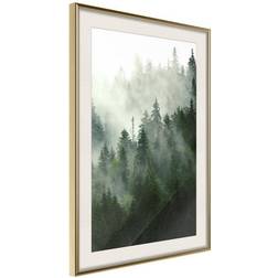 Arkiio Affisch Coniferous Forest [Poster] 40x60 Poster